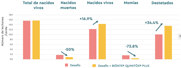 Figura 4. Análisis de las características de la camada